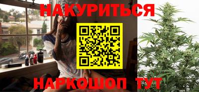 крисы Можга