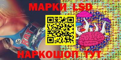 крисы Можга