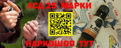 крисы Можга