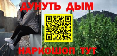 крисы Можга
