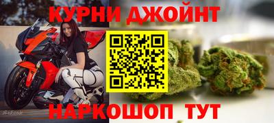 крисы Можга