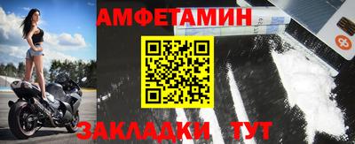 крисы Можга
