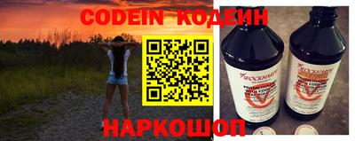 крисы Можга