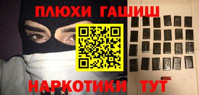 крисы Можга