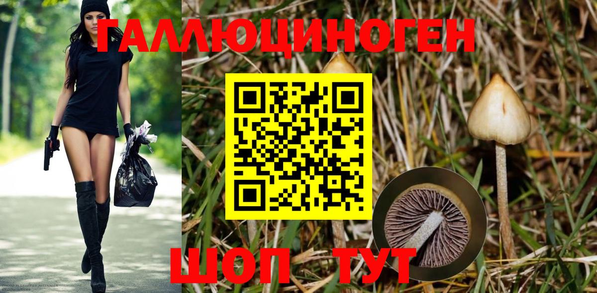 Галлюциногенные грибы мухоморы Партизанск